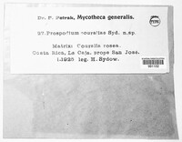 Prospodium couraliae image